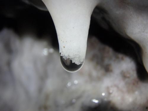 Calcita<br />Queralbs, Comarca Ripollès, Gerona / Girona, Catalonia / Catalunya, Spain<br />Ancho en el plano de enfoque 1,5cm<br /> (Autor: Eloi)