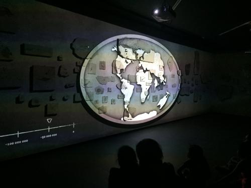 _Fish fossils animation (Author: MIM Museum)