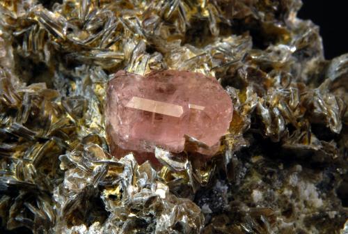 Fluorapatite (Apatite Group)<br />Chumar Bakhoor, Hunza Valley, Nagar District, Gilgit-Baltistan (Northern Areas), Pakistan<br />5.9 X 7.6, crystal is 1.5 cm<br /> (Author: crosstimber)
