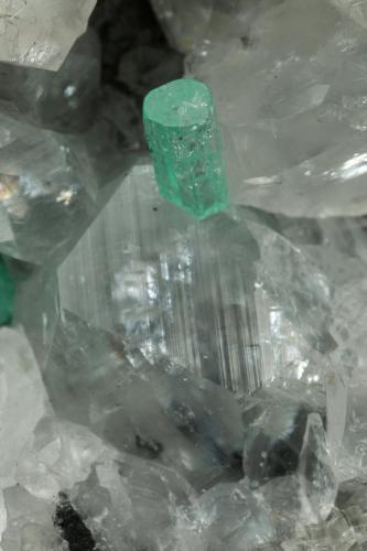 Beryl (variety emerald), Calcite<br />La Pita mining district, Municipio Maripí, Western Emerald Belt, Boyacá Department, Colombia<br />49x44x36mm, xls=6 & 4mm<br /> (Author: Fiebre Verde)