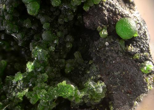 Olivenita y Conicalcita.<br />Mina Santa Lucía, Pozoblanco, Comarca Los Pedroches, Córdoba, Andalucía, España<br />Campo de visión de 3 mm.<br /> (Autor: Antonio Carmona)