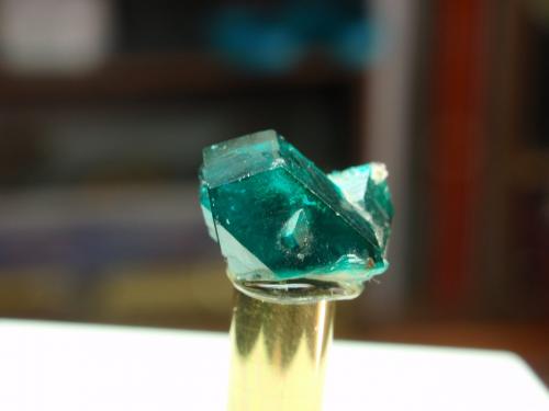 Dioptasa<br />Mina Tsumeb, Tsumeb, Región Otjikoto, Namibia<br />10x6 mm<br /> (Autor: Ignacio)