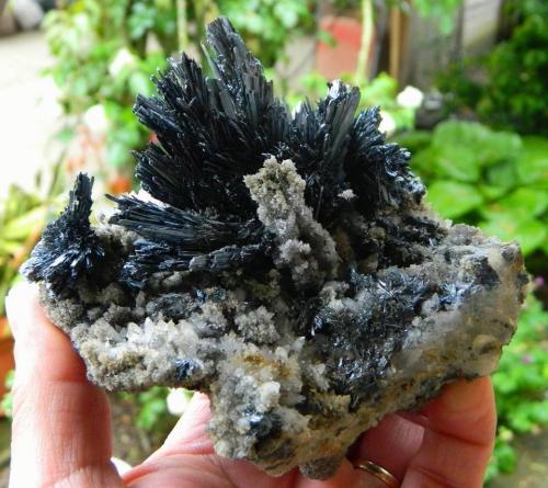 Stibnite, Quartz, Calcite<br />Herja Mine, Chiuzbaia, Baia Sprie, Maramures, Romania<br />13 x 10 cm<br /> (Author: Deyu)