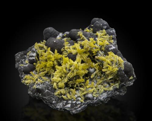 Pyromorphite on Coronadite<br />Broken Hill South Mine, Broken Hill, Yancowinna County, New South Wales, Australia<br />8,0	x	7,0	x	2,5	cm<br /> (Author: MIM Museum)