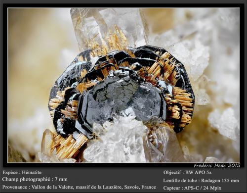 Hematite with Rutile<br />Vallon de la Valette, Macizo La Lauzière, Saint-Jean-de-Maurienne, Saboya, Auvergne-Rhône-Alpes, Francia<br />fov 7 mm<br /> (Author: ploum)