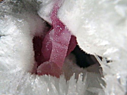 Calcita (variedad cobaltífera)<br />Solita Mine, Peramea, Baix Pallars, Comarca Pallars Sobirà, Lérida / Lleida, Catalonia / Catalunya, Spain<br />Ancho en el plano de enfoque 1,5cm<br /> (Autor: Eloi)