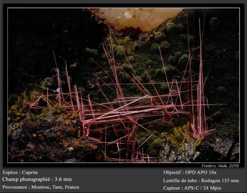 Cuprite<br />Mont-Roc Mine, Mont-Roc, Castres, Tarn, Occitanie, France<br />fov 3.6 mm<br /> (Author: ploum)