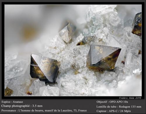 Anatase<br />L'Homme de Beurre, Macizo La Lauzière, Saint-Jean-de-Maurienne, Saboya, Auvergne-Rhône-Alpes, Francia<br />fov 3.6 mm<br /> (Author: ploum)