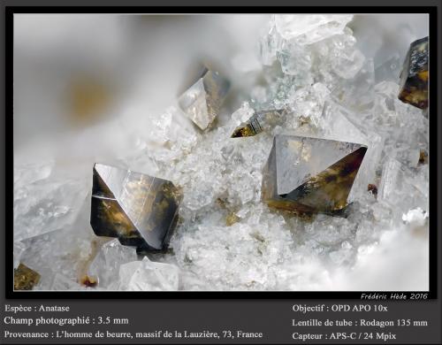 Anatase<br />L'Homme de Beurre, La Lauzière Massif, Saint-Jean-de-Maurienne, Savoie, Auvergne-Rhône-Alpes, France<br />fov 3.6 mm<br /> (Author: ploum)