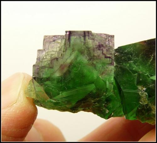 Fluorite<br />Okorusu Mine, Otjiwarongo District, Otjozondjupa Region, Namibia<br />46 x 31 x 23 mm<br /> (Author: Pierre Joubert)