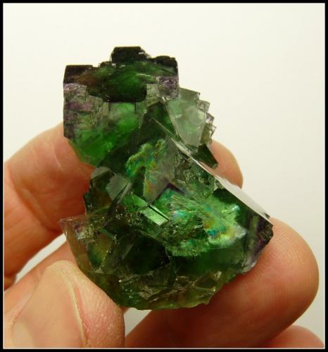 Fluorite<br />Okorusu Mine, Otjiwarongo District, Otjozondjupa Region, Namibia<br />46 x 31 x 23 mm<br /> (Author: Pierre Joubert)