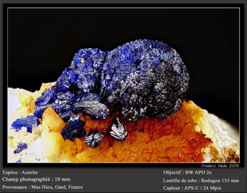 Azurite<br />Mas Dieu, Mercoirol, Alès, Gard, Occitanie, France<br />fov 10 mm<br /> (Author: ploum)