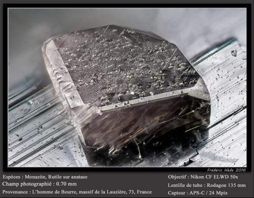 Monazite with Rutile on Anatase<br />L'Homme de Beurre, La Lauzière Massif, Saint-Jean-de-Maurienne, Savoie, Auvergne-Rhône-Alpes, France<br />fov 0.70 mm<br /> (Author: ploum)