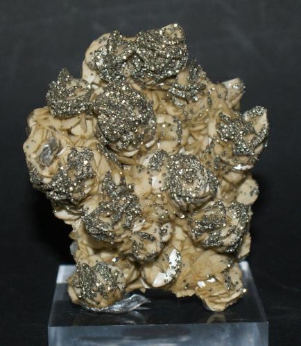 Siderite with Pyrite<br />Chojñacota Mine, Loayza Province, La Paz Department, Bolivia<br />65mm  x  55mm<br /> (Author: Philippe Durand)