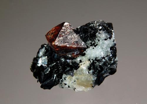 Zircon<br />Valle Astor, Distrito Astor, Gilgit-Baltistan (Áreas del Norte), Paquistán<br />1.5 x 2.5 cm<br /> (Author: crosstimber)