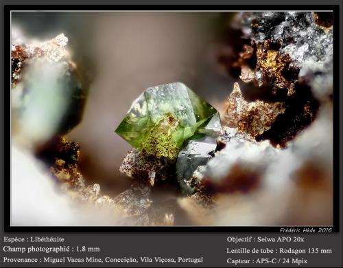 Libethenite<br />Miguel Vacas Mine, Pardais and Conceição Parish, Vila Viçosa, Évora District, Alentejo Central Province, Alentejo Region, Portugal<br />fov 1.8 mm<br /> (Author: ploum)