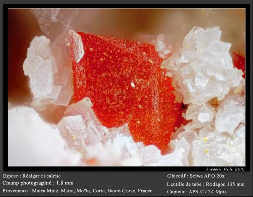 Realgar and Calcite<br />Matra Mine, Matra, Ghisonaccia, Corte, Haute-Corse, Corsica/Corse, France<br />fov 1.8 mm<br /> (Author: ploum)