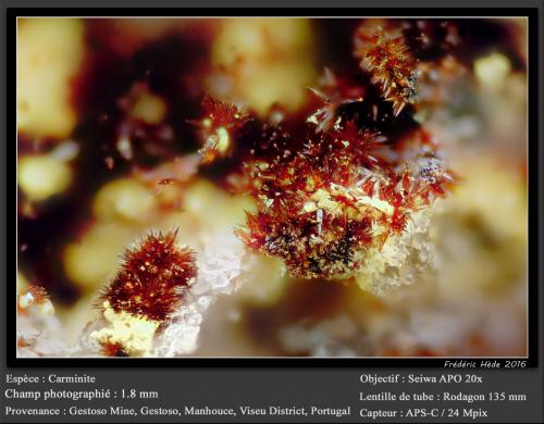 Carminite<br />Alto das Quelhas do Gestoso Mine, Gestoso, Manhouce, São Pedro do Sul, Viseu District, Dão-Lafões, Centro, Portugal<br />fov 1.8 mm<br /> (Author: ploum)