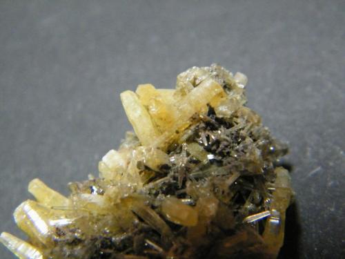 Mimetite<br />Tsumeb Mine, Tsumeb, Otjikoto Region, Namibia<br />25x20x10mm<br /> (Author: Heimo Hellwig)