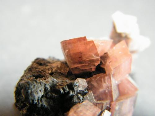 Smithsonite<br />Mina Tsumeb, Tsumeb, Región Otjikoto, Namibia<br />35x20x15mm<br /> (Author: Heimo Hellwig)