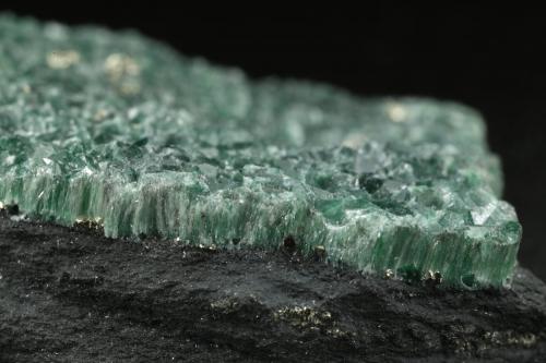 Muscovite (variety fuchsite), Pyrite<br /> 	Highway Pauna-San Pablo de Borbur road works ("Highway Mine"), Municipio Pauna, Western Emerald Belt, Boyacá Department, Colombia<br />55x32x11mm<br /> (Author: Fiebre Verde)