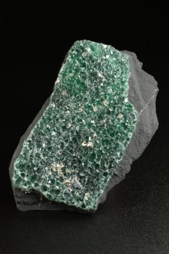 Muscovite (variety fuchsite), Pyrite<br /> 	Highway Pauna-San Pablo de Borbur road works ("Highway Mine"), Municipio Pauna, Western Emerald Belt, Boyacá Department, Colombia<br />55x32x11mm<br /> (Author: Fiebre Verde)