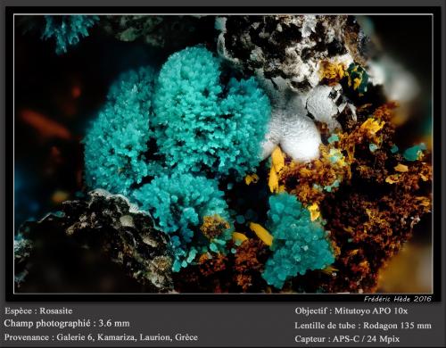 Rosasite<br />Minas Kamariza, Agios Konstantinos, Distrito minero Lavrion, Prefectura Attikí (Attica), Grecia<br />fov 3.6 mm<br /> (Author: ploum)