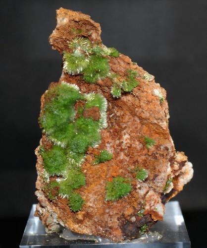 Pyromorphite<br />Saint-Salvy Mine, Saint-Salvy-de-la-Balme, Tarn, Occitanie, France<br />60mm x 40mm x 40mm<br /> (Author: Philippe Durand)