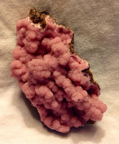 Rhodochrosite<br />N'Chwaning II Mine, N'Chwaning mining area, Kuruman, Kalahari manganese field (KMF), Northern Cape Province, South Africa<br />8 x 4 x 2.5 cm<br /> (Author: JC)