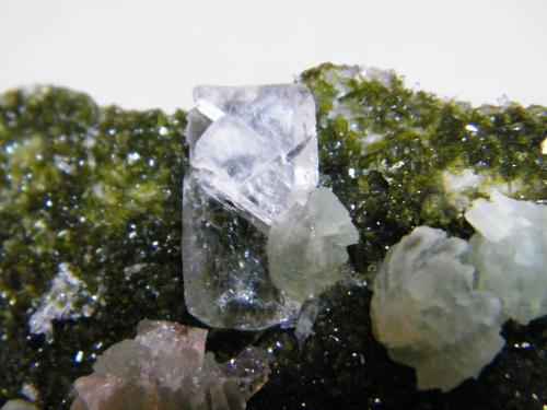 Quartz, Prehnite on Epidote<br />Goboboseb Mountains, Brandberg area, Erongo Region, Namibia<br />130x80mm<br /> (Author: Heimo Hellwig)