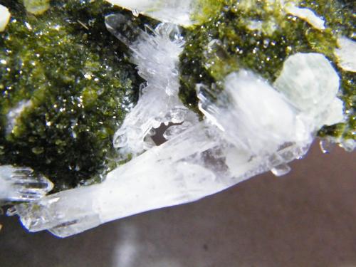 Quartz, Prehnite on Epidote<br />Goboboseb Mountains, Brandberg area, Erongo Region, Namibia<br />130x80mm<br /> (Author: Heimo Hellwig)