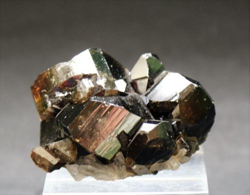 Cassiterite<br />Viloco Mine, San Antonio Section, Loayza Province, La Paz Department, Bolivia<br />45mm x 30mm x 25mm<br /> (Author: Philippe Durand)