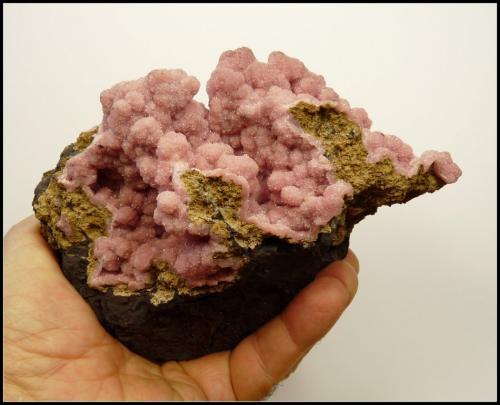 Rhodocrosite<br />N'Chwaning I Mine, N'Chwaning mining area, Kuruman, Kalahari manganese field (KMF), Northern Cape Province, South Africa<br />155 x 115 x 65 mm<br /> (Author: Pierre Joubert)