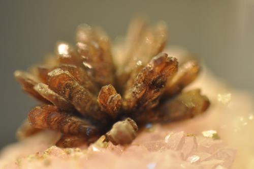 Eosphorite on Rose Quartz with Zanazziite<br />Taquaral, Itinga, Vale do Jequitinhonha, Minas Gerais, Brazil<br />1.6 cm<br /> (Author: Gail)