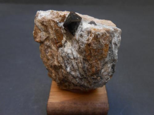 Cuarzo (variedad morión)<br />Afloramiento de cuarzos moriones, Las Cañadas, Montejícar, Comarca Los Montes, Granada, Andalucía, España<br />5 x 5 x 3,5 cm<br /> (Autor: Antonio Alcaide)