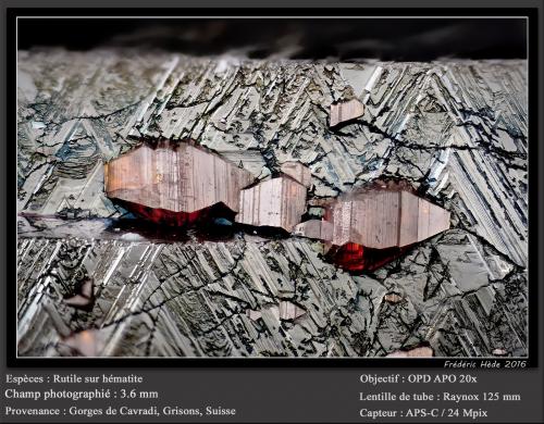 Rutile and Hematite<br />Cavradi, Curnera Valley, Tujetsch (Tavetsch), Vorderrhein Valley, Grischun (Grisons; Graubünden), Switzerland<br />fov 3.6 mm<br /> (Author: ploum)