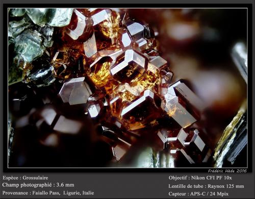 Grossular (Garnet Group)<br />Paso Faiallo, Urbe, Provincia Savona, Liguria, Italia<br />fov 3.6 mm<br /> (Author: ploum)