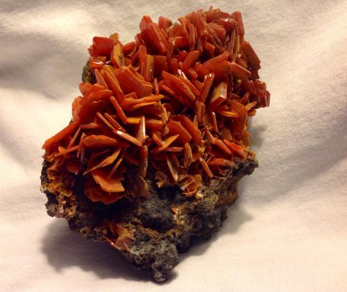 Wulfenite<br />Mina Jianshan, Ruoqiang, Prefectura Autónoma Bayin'gholin, Región Autónoma Uigur de Xinjiang, China<br />11.4 x 8 cm<br /> (Author: JC)