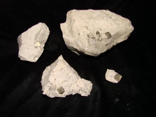 Pyrite in limestone<br />Cantera Georgia, Mitchell, Condado Lawrence, Indiana, USA<br />pyrite cubes up to 1.0 cm<br /> (Author: Bob Harman)