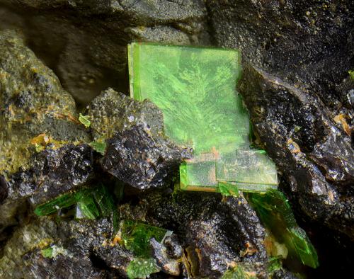 Torbernita<br />Obejo Mine, Valdelagrana, Andújar, Comarca de la Campiña, Jaén, Andalusia, Spain<br />Campo de visión de 2 mm.<br /> (Autor: Antonio Carmona)