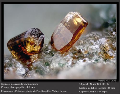 Vesuvianite<br />Felskinn, Glaciar Fee, Saas Fee, Valle Saas, Zermatt - Saas Fee, Wallis (Valais), Suiza<br />fov 3.6 mm<br /> (Author: ploum)