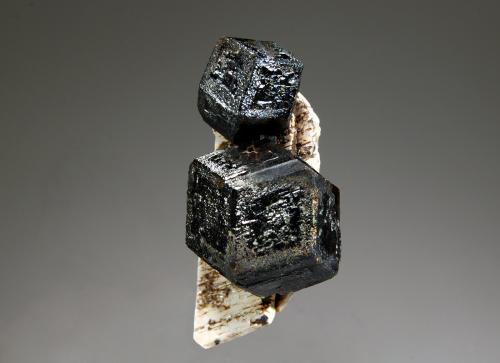 Andradite<br />Zona Imilchil, Anti-Atlas, Provincia Er Rachidia, Región Drâa-Tafilalet, Marruecos<br />3.7 cm<br /> (Author: crosstimber)