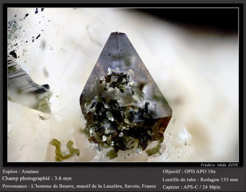 Anatase<br />L'Homme de Beurre, La Lauzière Massif, Saint-Jean-de-Maurienne, Savoie, Auvergne-Rhône-Alpes, France<br />fov 3.6 mm<br /> (Author: ploum)