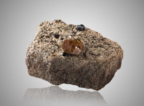 Anatase with Magnetite<br />Alp Lercheltini area, Binn Valley (Binntal), Wallis (Valais), Switzerland<br />7,0	x	4,5	x	3,5	cm<br /> (Author: MIM Museum)