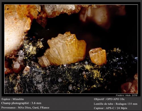 Mimetite<br />Mas Dieu, Mercoirol, Alès, Gard, Occitanie, France<br />fov 3.6 mm<br /> (Author: ploum)