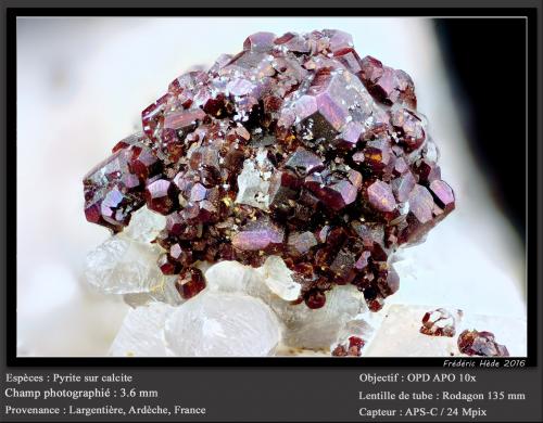 Pyrite on Calcite<br />Minas Largentière, Largentière, Vallon-Pont-d'Arc, Ardèche, Auvergne-Rhône-Alpes, Francia<br />fov 3.6 mm<br /> (Author: ploum)