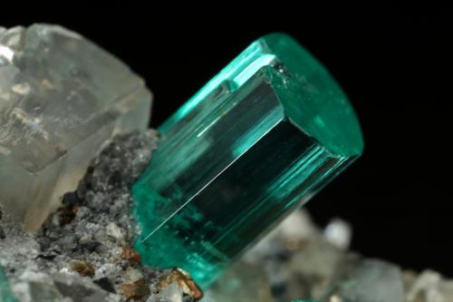 Beryl (variety emerald), Albite (variety cleavelandite), Dolomite, Pyrite<br />Chivor mining district, Manantial Mine, Municipio Chivor, Eastern Emerald Belt, Boyacá Department, Colombia<br />32mm across, main xl=9mm<br /> (Author: Fiebre Verde)