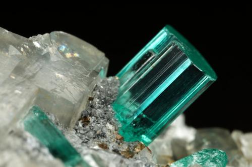 Beryl (variety emerald), Albite (variety cleavelandite), Dolomite, Pyrite<br />Chivor mining district, Manantial Mine, Municipio Chivor, Eastern Emerald Belt, Boyacá Department, Colombia<br />32mm across, main xl=9mm<br /> (Author: Fiebre Verde)