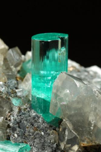 Beryl (variety emerald), Albite (variety cleavelandite), Dolomite, Pyrite<br />Chivor mining district, Manantial Mine, Municipio Chivor, Eastern Emerald Belt, Boyacá Department, Colombia<br />32mm across, main xl=9mm<br /> (Author: Fiebre Verde)