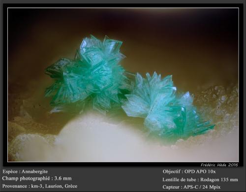 Annabergite<br />Km-3 Mine, Lavrion, Lavrion Mining District, Attikí (Attica) Prefecture, Greece<br />fov 3.6 mm<br /> (Author: ploum)